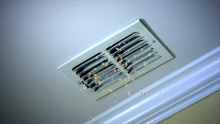 Best Professional Duct Cleaning Services  in Parshall, ND