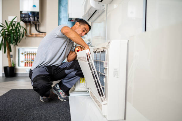Best Air Vent Cleaning Services  in Parshall, ND
