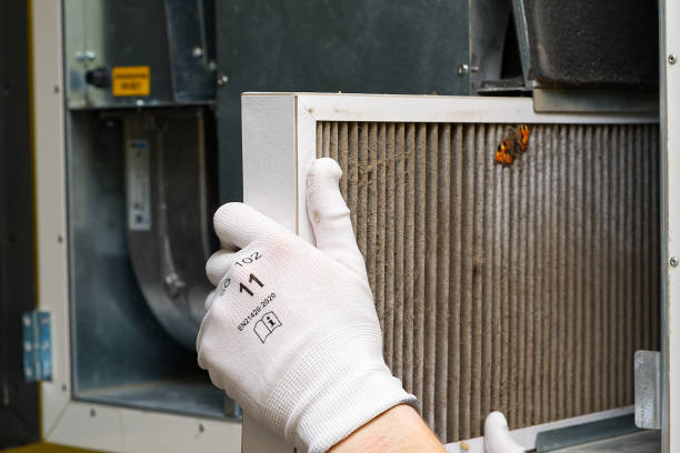 Best Local Air Duct Cleaning Services  in Parshall, ND