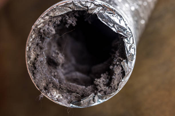 Best Commercial Air Duct Cleaning  in Parshall, ND